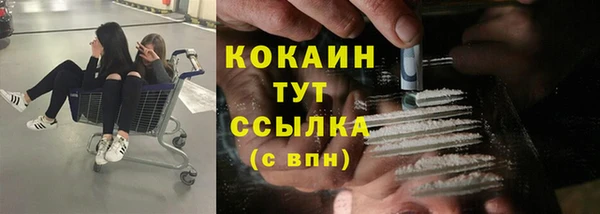 трава Балахна